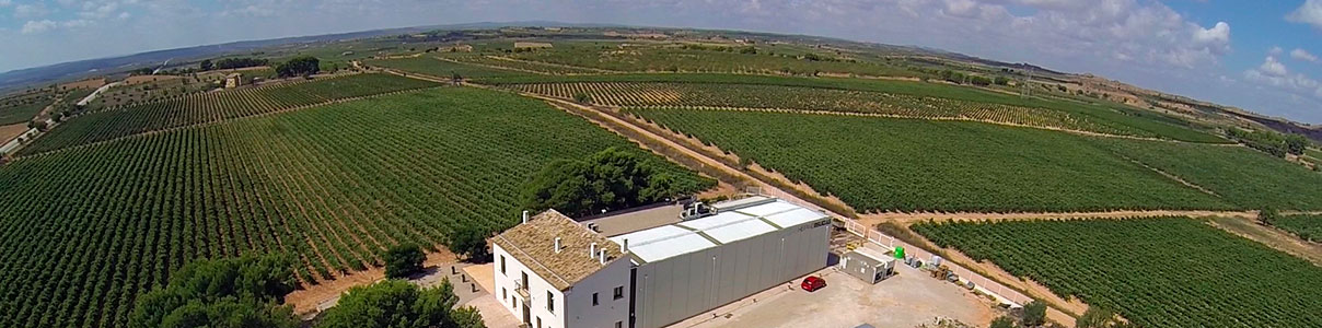Productor: Bodegas Hispano+Suizas