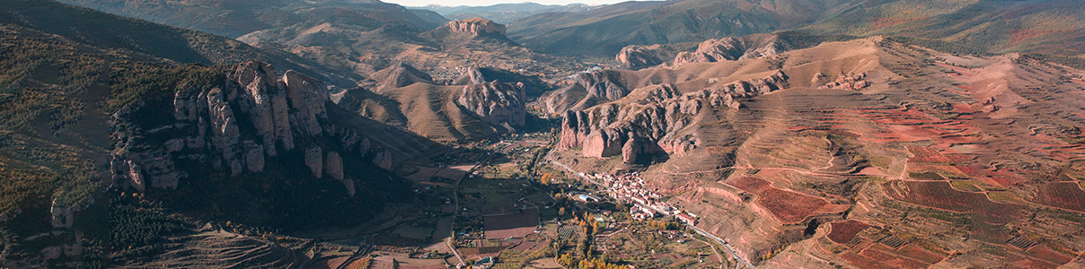 Productor: Vinos del Panorámico