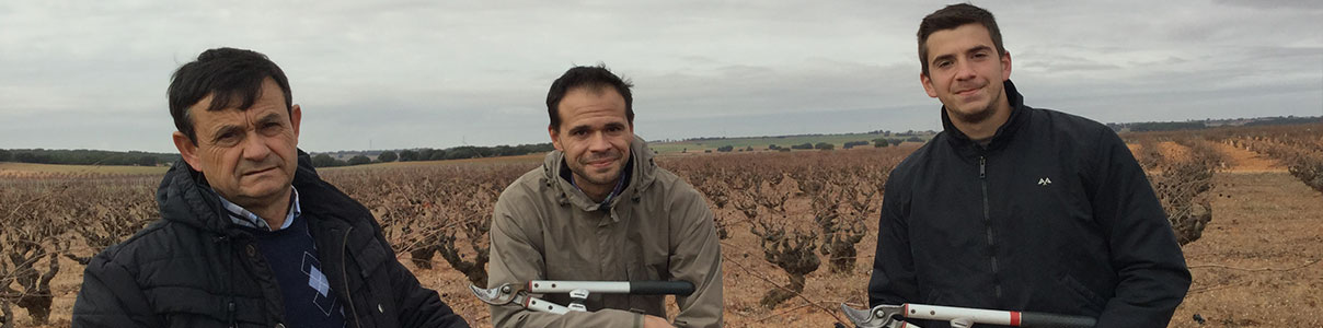 Productor: Bodegas y viñedos Ponce