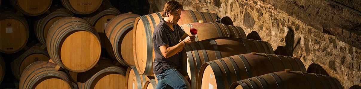 Productor: Cellers Scala Dei