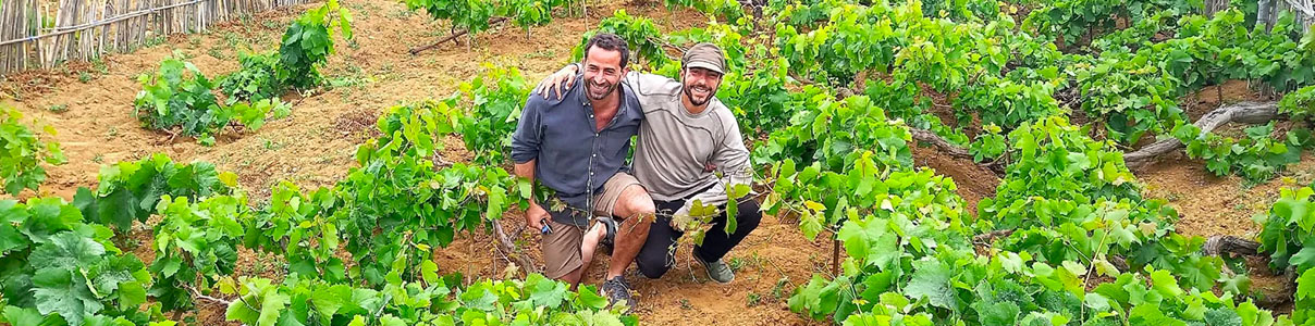 Productor: Companhia dos Profetas e dos Villões