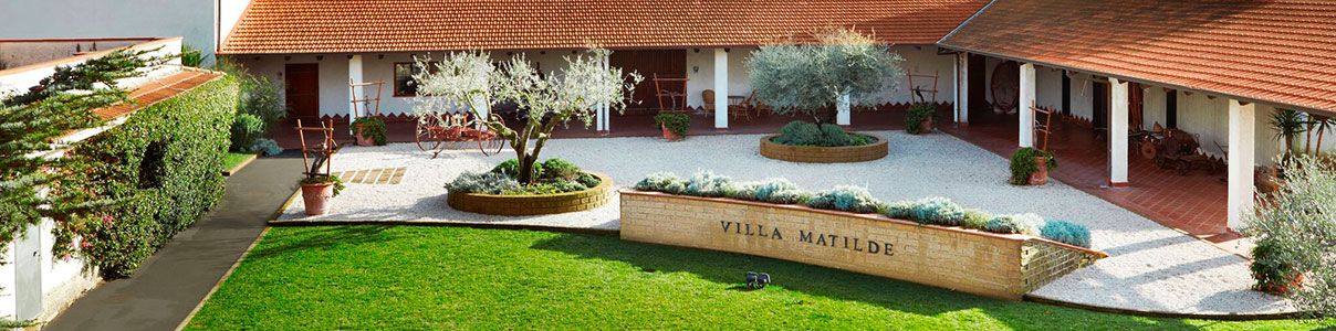 Productor: Villa Matilde