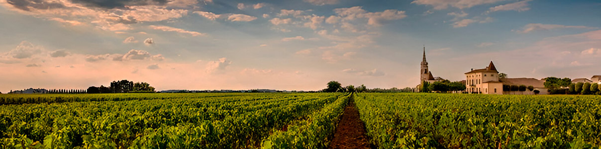 Productor: Château La Fleur-Pétrus