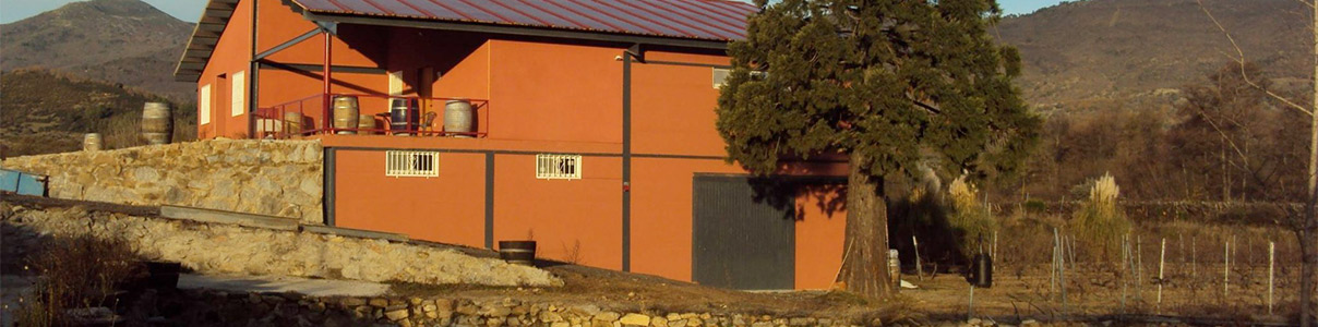 Productor: Bodega Finca Fuentegalana