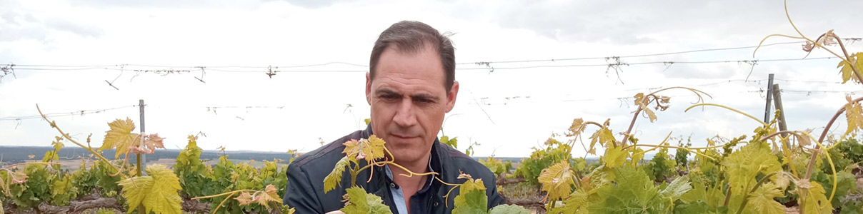 Productor: Dani Mabe Wines