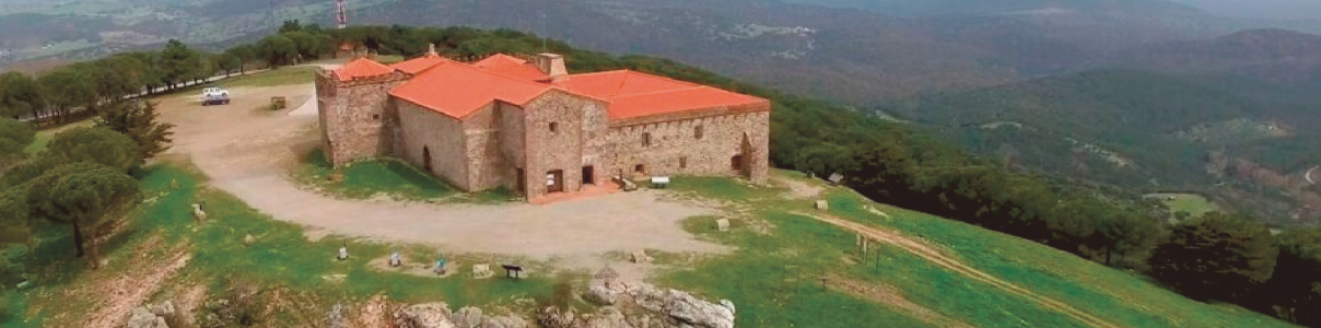 Productor: Bodegas Ángel Ortiz