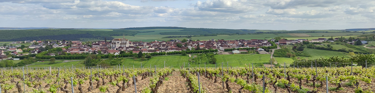 Productor: Domaine Lemoule