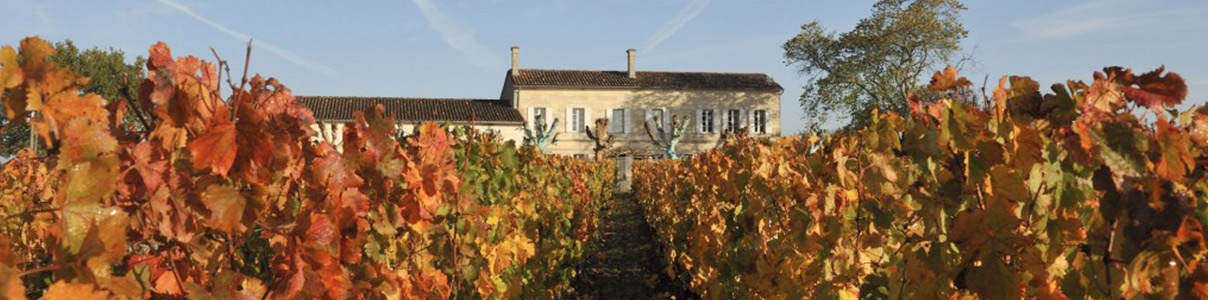 Productor: Château l'Église Clinet