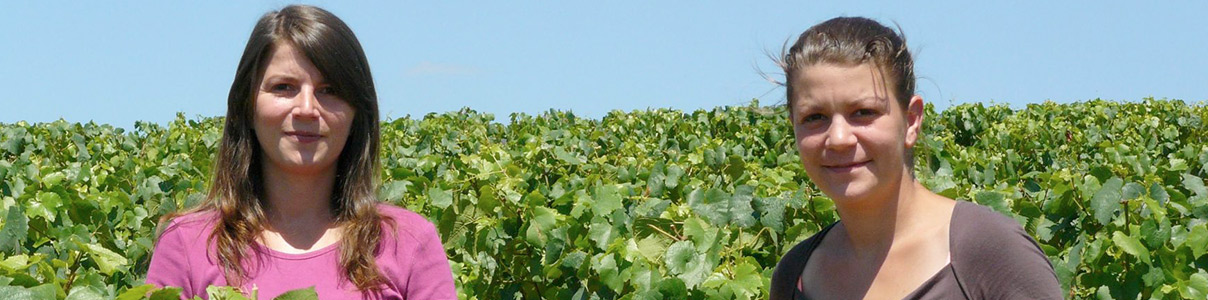 Productor: Domaine Oudin