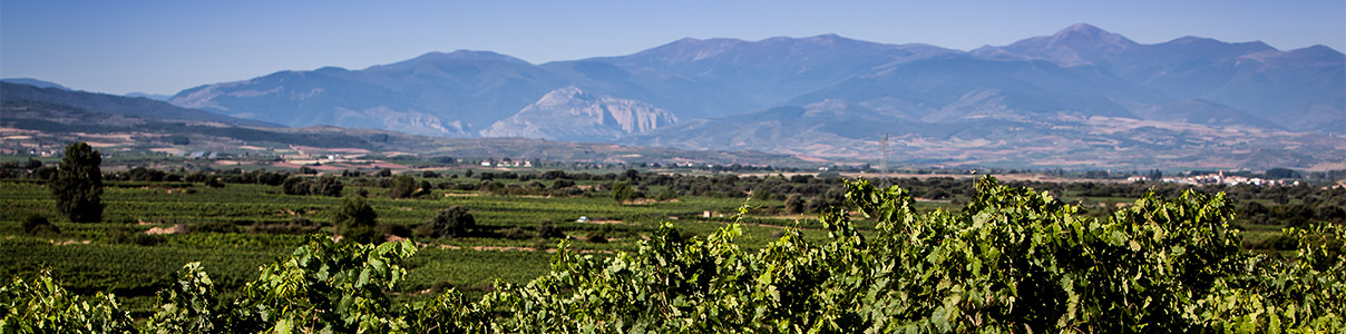 Productor: Montaña