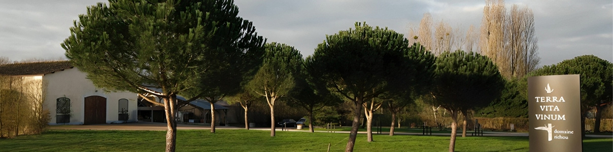 Productor: Terra Vita Vinum