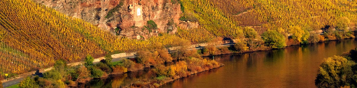 Productor: Weingut Alfred Merkelbach