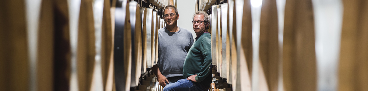 Productor: Bodegas Antídoto