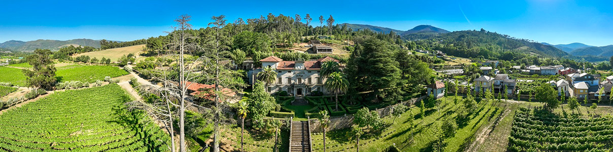 Productor: Pazo de la Cuesta