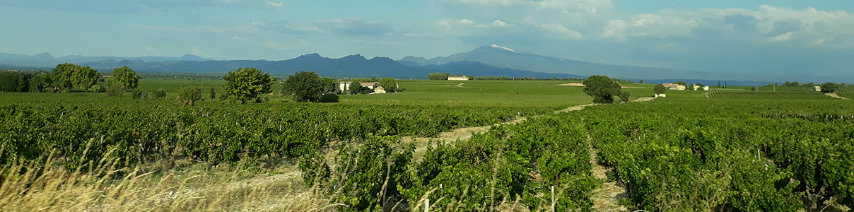 Productor: Domaine de Ferrand