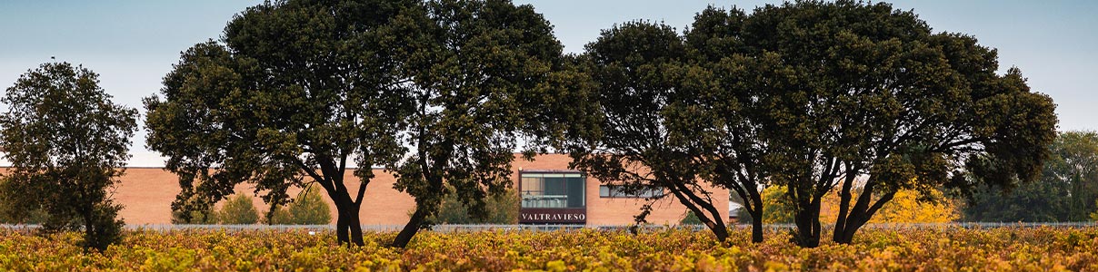 Productor: Valtravieso Bodegas y Viñedos