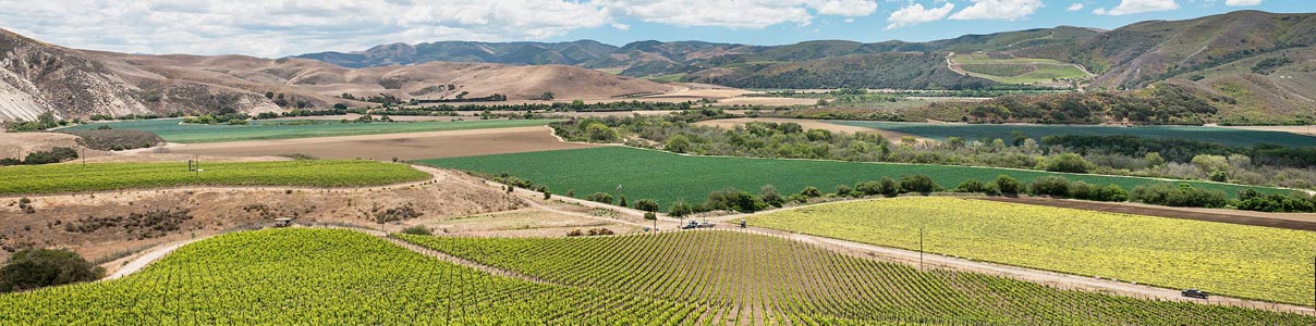 Productor: Domaine de la Côte