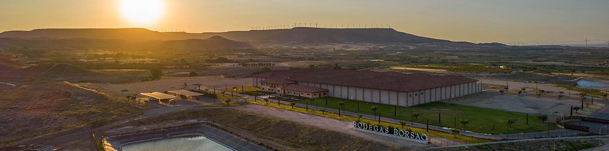 Productor: Bodegas Borsao