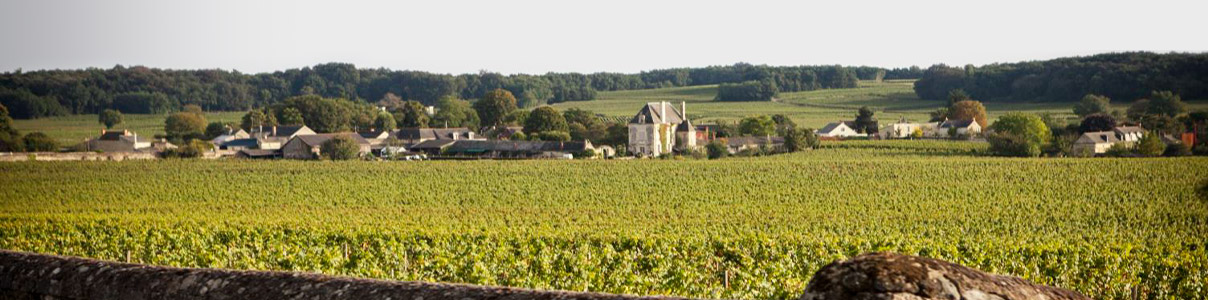 Productor: Maison Dolia