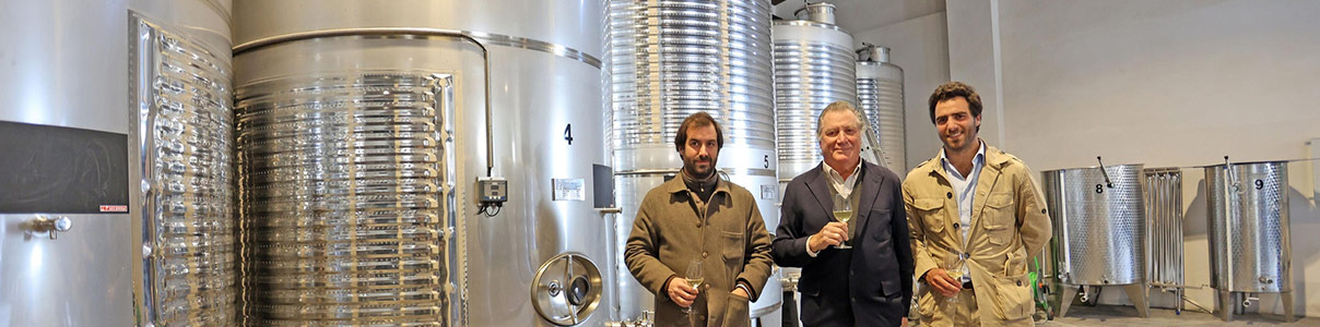 Productor: Bodegas San Francisco Javier