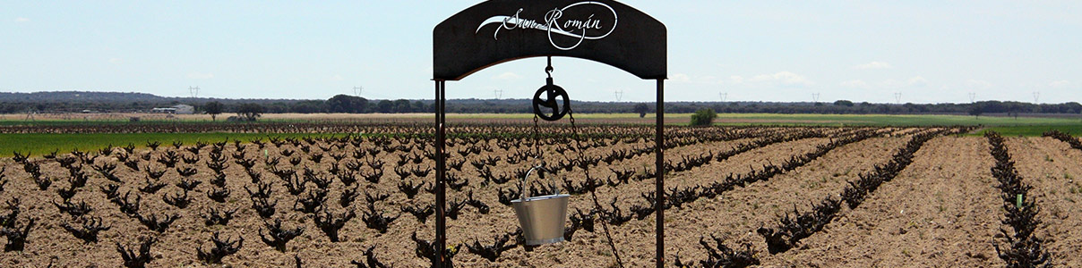 Productor: San Román Viñedos y Bodegas