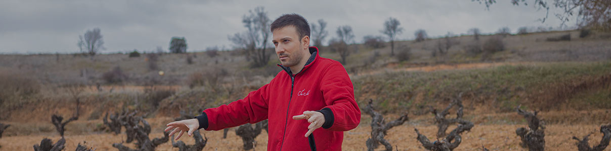 Productor: Sei Solo Bodegas y Viñedos