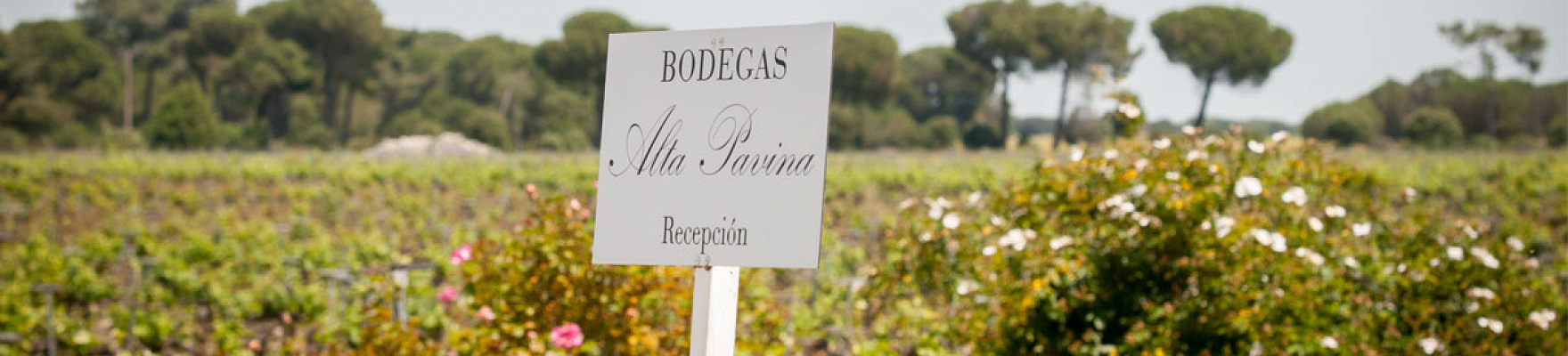 Productor: Bodega Alta Pavina