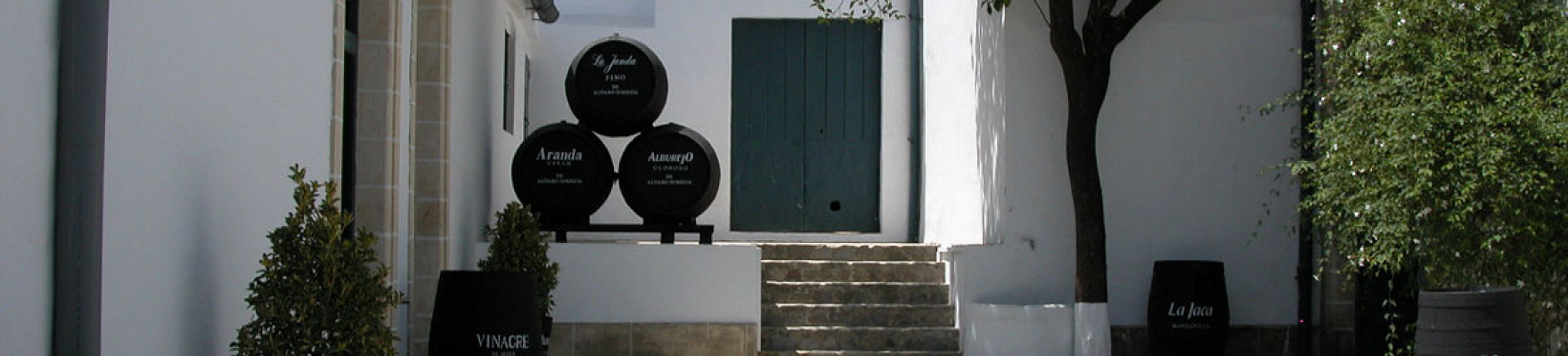Productor: Álvaro Domecq