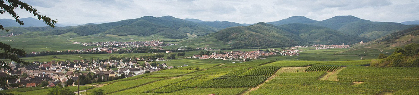 Productor: Domaine Amélie & Charles Sparr