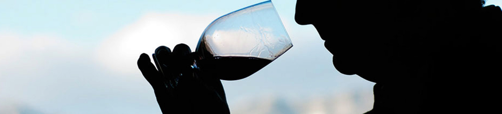 Productor: Bodegas y viñedos Artadi