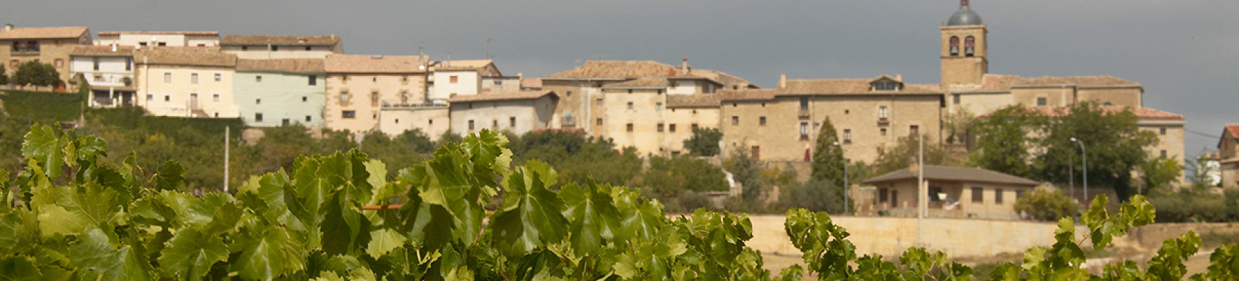 Productor: Bodegas y Viñedos Artazu