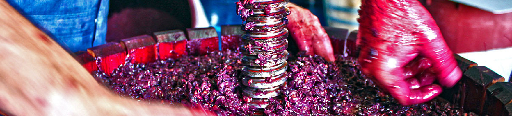 Productor: Bodegas Cerrón