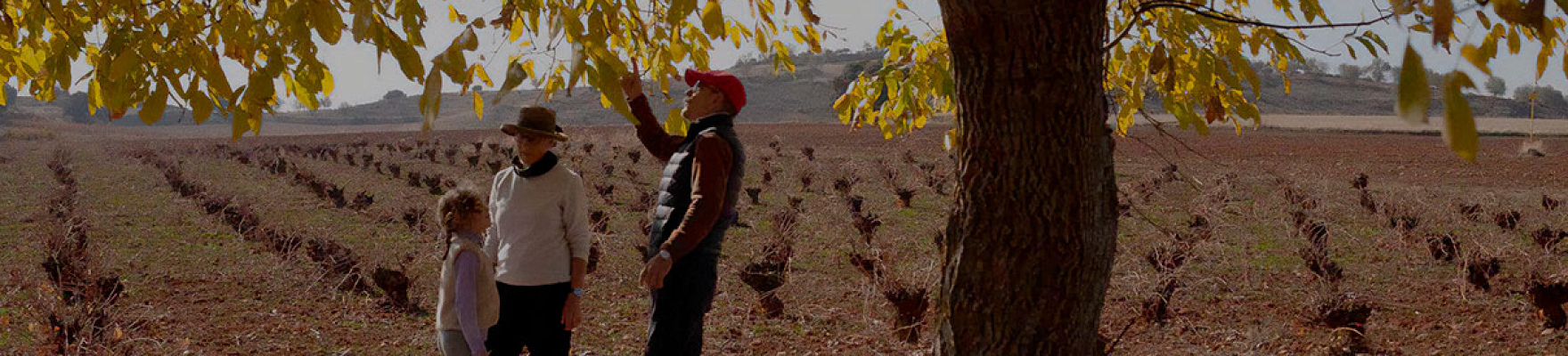 Productor: Bodega La Era