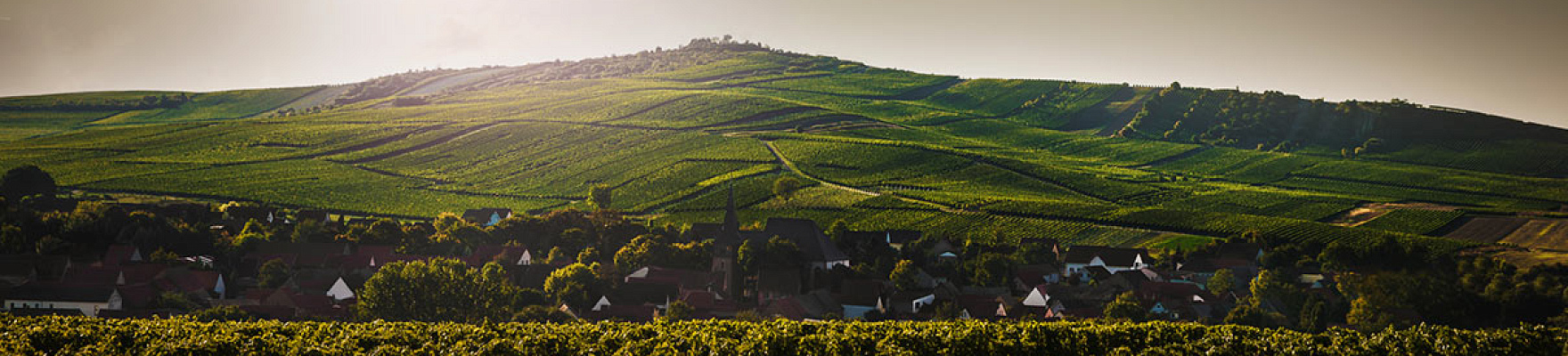 Productor: Weingut Bretz