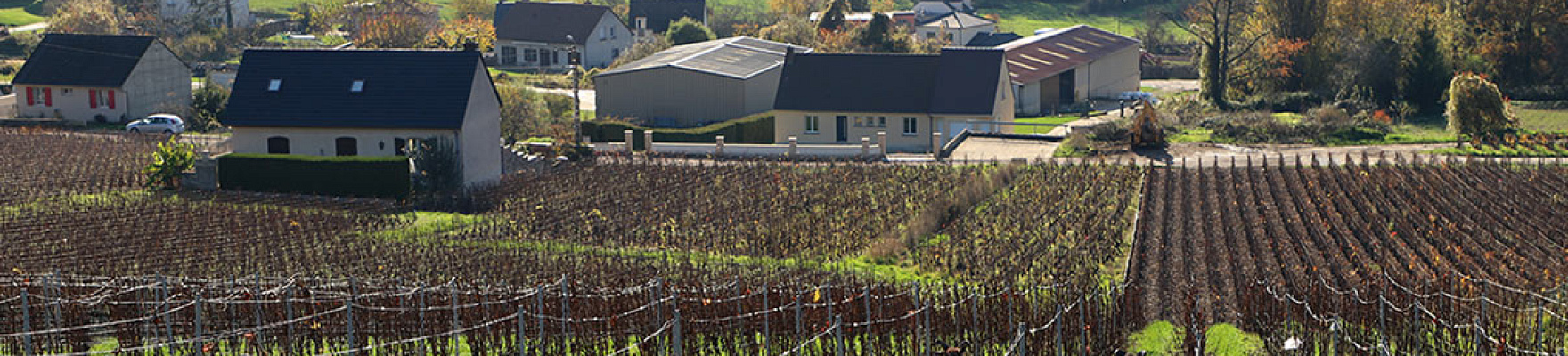 Productor: Champagne Faniel & Fils