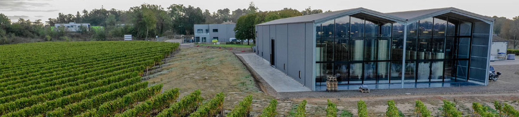 Productor: Château Lauduc