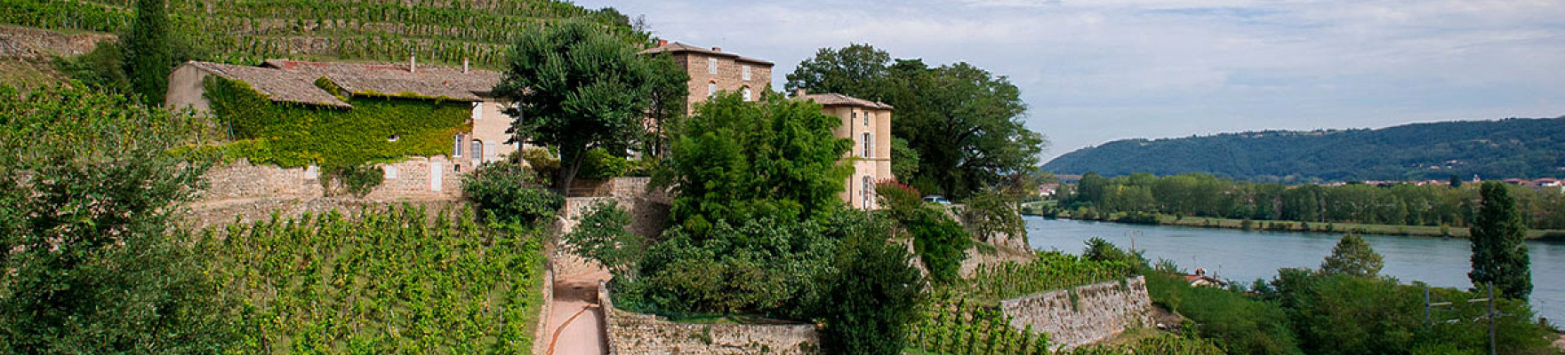 Productor: Château-Grillet