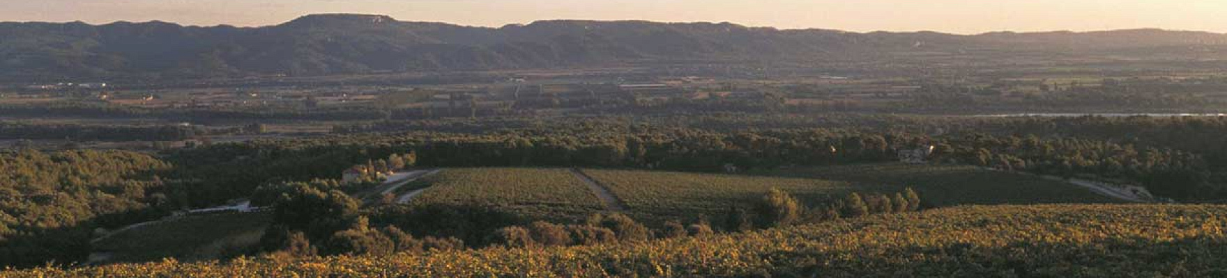 Productor: Château la Verrerie