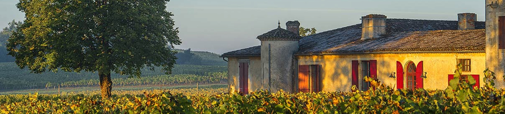 Productor: Château Sigalas Rabaud