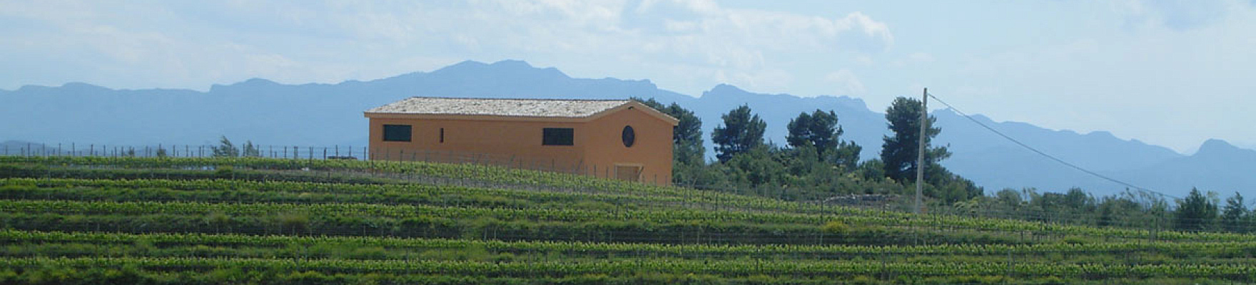 Productor: Clos Galena
