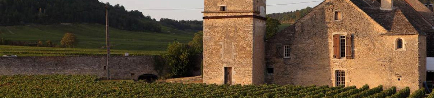 Productor: Clos du Moulin aux Moines