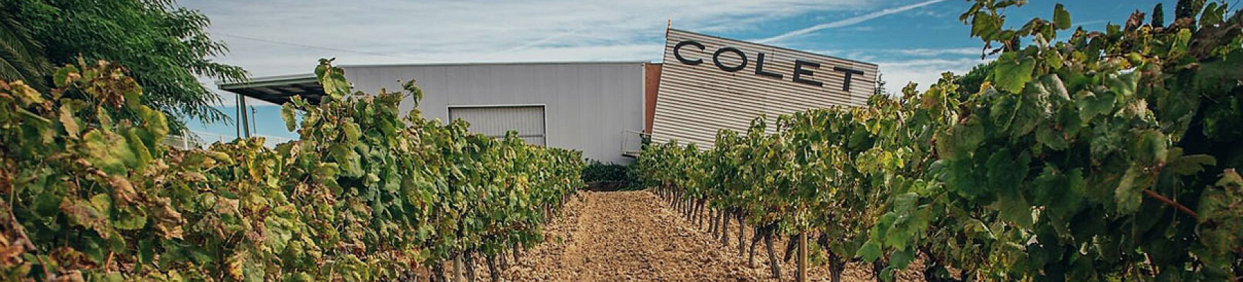 Productor: Bodegas Colet