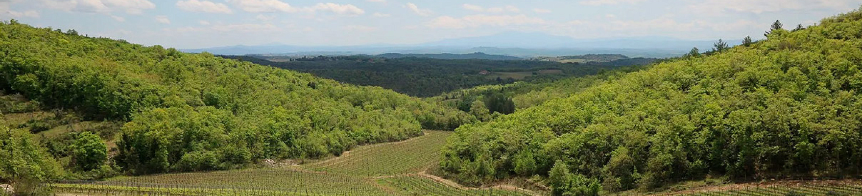 Productor: Colombaio di Cencio