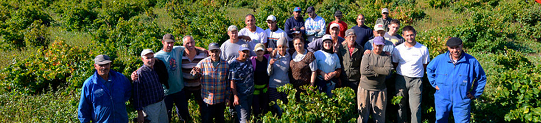 Productor: Domaine de la Janasse
