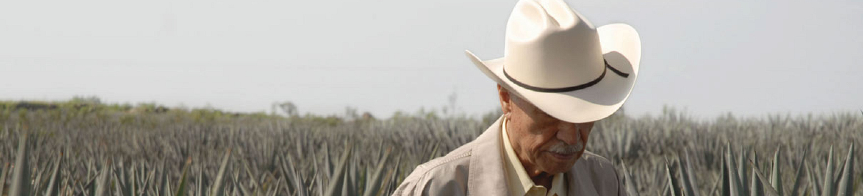 Productor: Don Julio