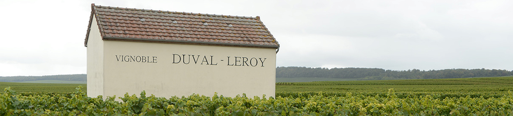Productor: Duval-Leroy