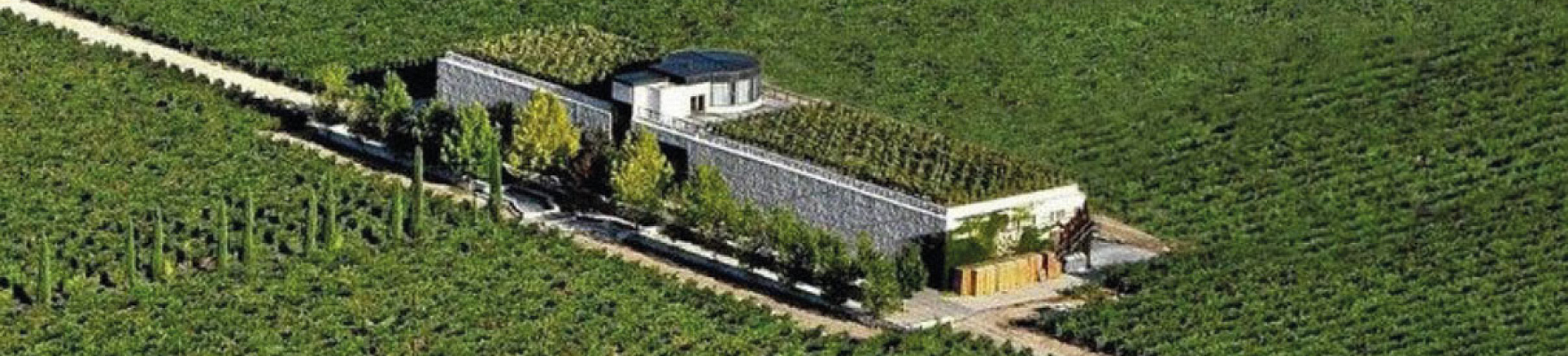 Productor: Finca Rodma
