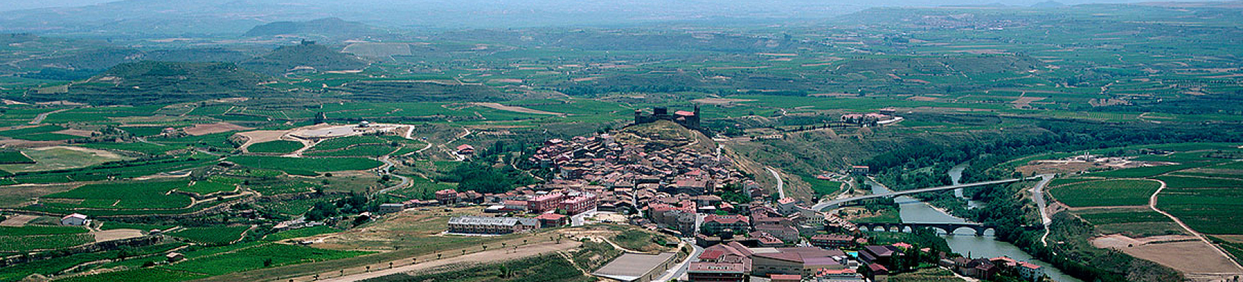 Productor: Bodegas Hermanos Peciña