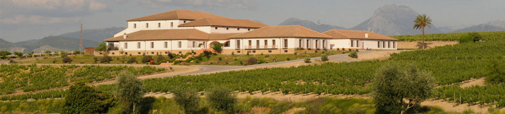 Productor: Huerta de Albalá