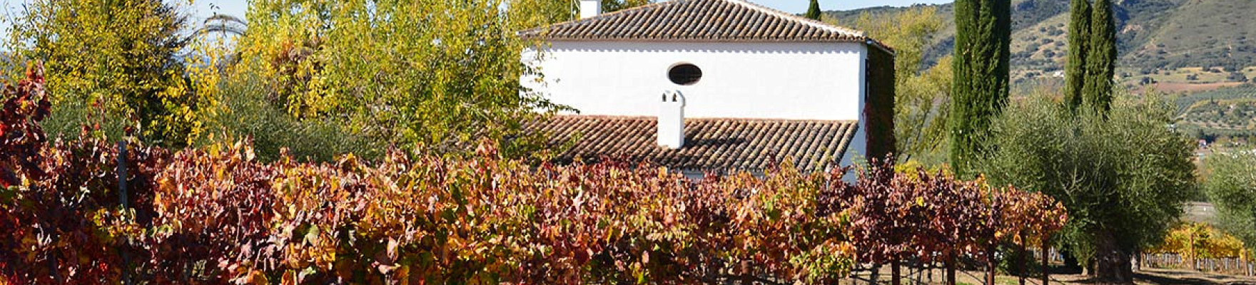 Productor: Huerto de la Condesa